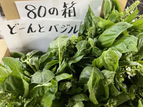 【淡路島より旬をお届け！】どーんとバジル500g