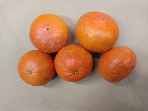 紅ばえ　家庭用Ａ・Ｂミックス　4Ｋ