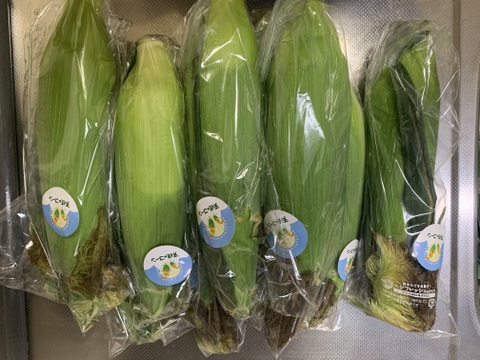 濃厚！！で甘～い『ゴールドラッシュ天使のコーン』(１本350～500ｇが10本入り）