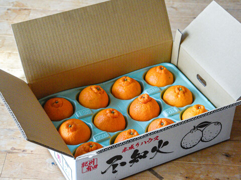 【先着5名様限定】伊藤農園 認定農家さんの完熟 木成り 特選不知火(デコポン同品種) 大玉12個入【2月中旬より発送予定】322-kmd12