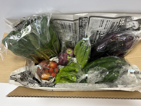 【おまかせ】オーガニック野菜セット(6品)
