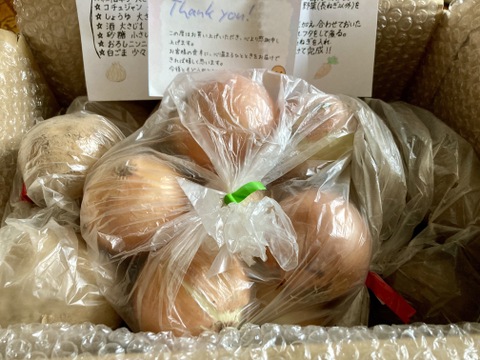 最終販売❣️北海道とかち❗️じゃが、タマ3点食べ比べセット‼️🥔🧅🥔【メークイン】1.7kg  大好評味の濃い【とうや】1.7kg  【直播タマネギ】1.7kg 合計約5kg☆