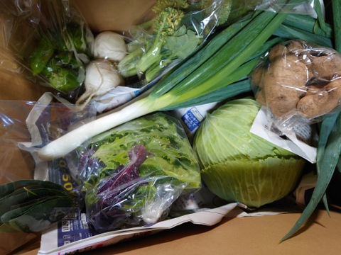 旬の野菜15種類詰め合わせセット