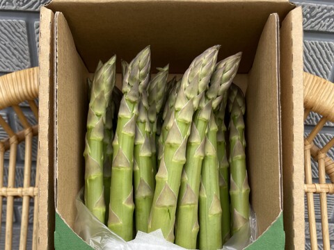 【先行予約/春限定】北海道産！大地の恵みを存分に受けた青空ファーム池田の青空アスパラ【2L/１kg】