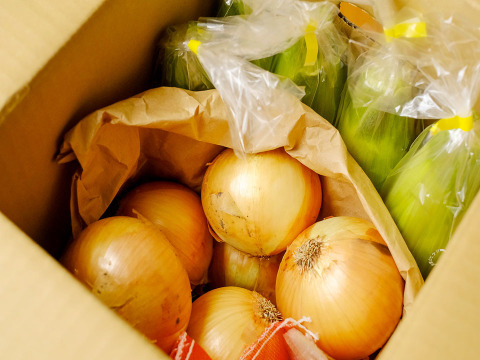 ★★初夏の甘うまセット★★（淡路島玉ねぎ5kg+ホワイトコーン10本） とうもろこし　トウモロコシ