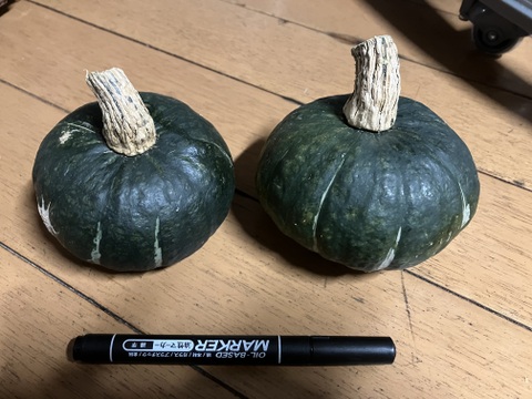 自然栽培冬至用坊ちゃんかぼちゃ2kg4-6玉