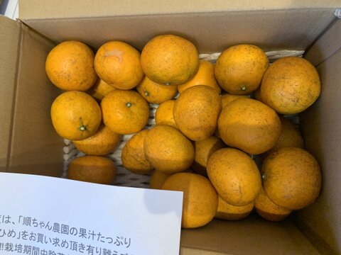 果汁たっぷり「はれひめ」3kg 「愛媛県産」