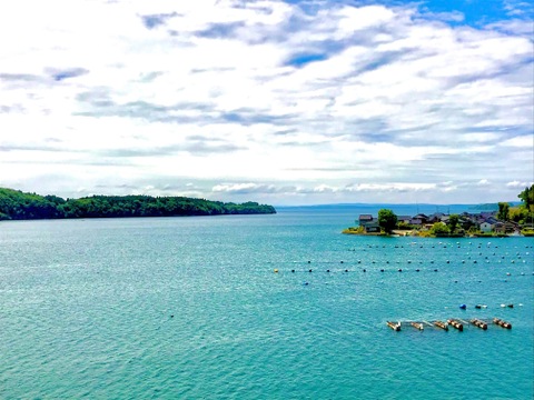 【夏ギフト】奥能登はいらんかいね　石川県穴水産　濃厚　岩牡蠣（生食用）　10個　＜300g以上～500g前後/１個＞　短冊熨斗対応可
