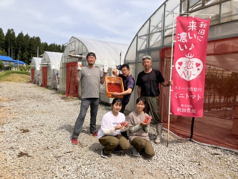 訳あり　「恋ベリー」を贅沢に使った濃厚パスタソース　300ｇ×3