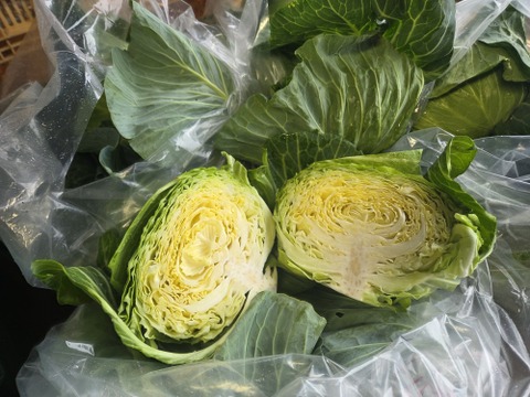 青森原産 野菜 キャベツ 30kg 自然栽培キャベツ 2キロ前後：青森県産の野菜｜食べチョク｜産地直送