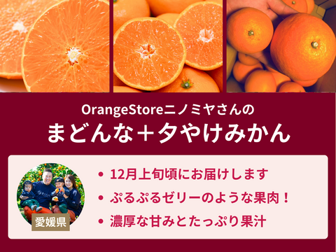 【売り切れ】 【限定200セット】感動の美味しさ！とっておき果実便※あまりん1月下旬〜2月中旬お届け（食べチョク公式）