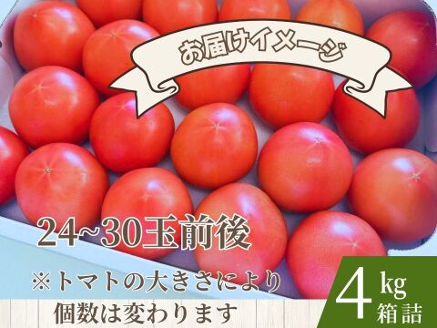 さわやかジューシー!「マイルドかれん」4kg箱詰め