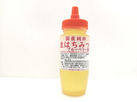 【数量限定】フルーティーな味わい!国産純粋生はちみつ【ブルーベリー蜜】250g