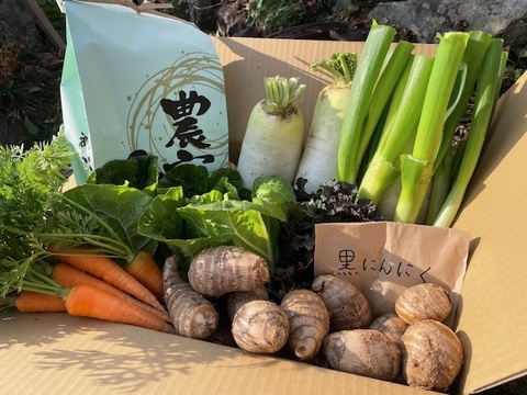 お米３.5kgと黒にんにく・いものこ＆季節野菜セット）