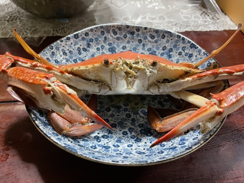 ワタリガニ ケジャン持ってこい 伊勢湾 日間賀島産 ガザミ 身入り抜群 大サイズ 7匹 約2 4k茹でて発送大人気 出来るだけメスを入れます 愛知県産 食べチョク 農家 漁師の産直ネット通販 旬の食材を生産者直送