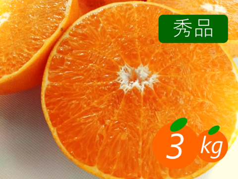 【秀品】せとか 3kg トロ～リ食感！柑橘の大トロ♡高級柑橘♫愛媛みかん！！