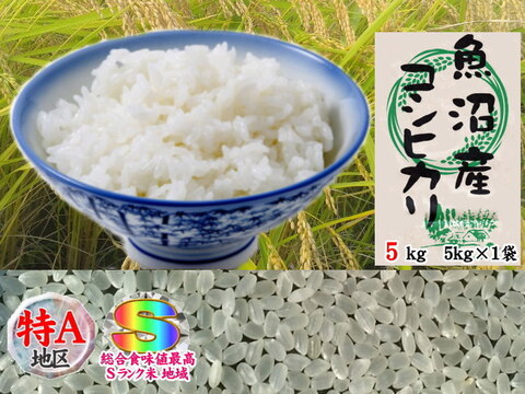 南魚沼産コシヒカリ乾式無洗米5kg令和2年産🌾