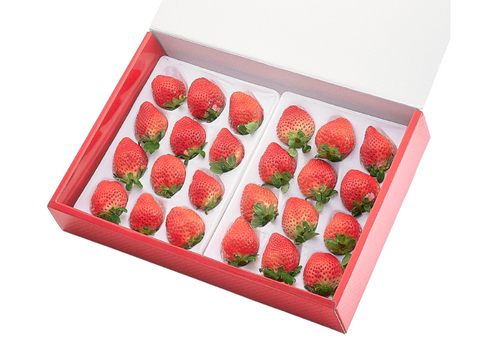 【予約販売 2026年11月下旬～順次発送】 特選あまおう 800g ギフト お歳暮