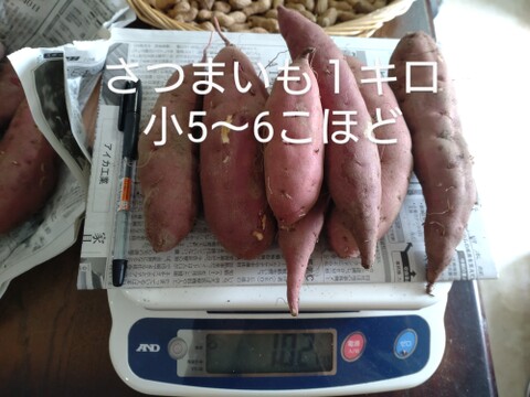 さつまいも1kg 石川県産金時芋 【農薬、除草剤、化学肥料不使用】