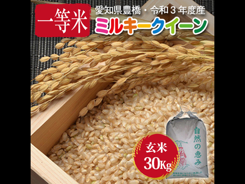 【節減対象農薬6割減・一等米】 ミルキークイーン 玄米30g【令和3年・愛知県産】