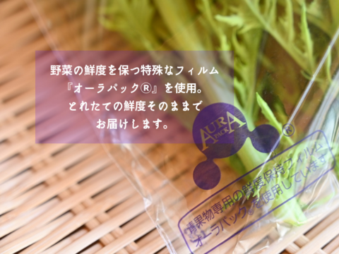 60サイズにいっぱいの新鮮朝どれ"季節の野菜セット"３品目!!鮮度も味も抜群!!