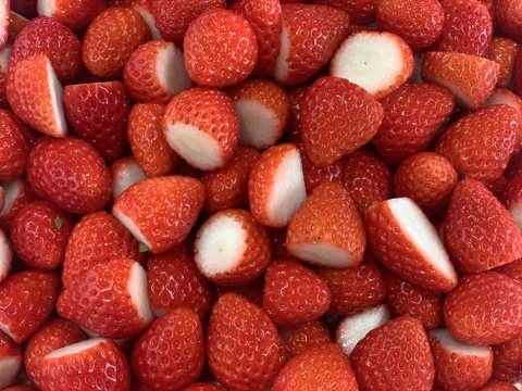 冷凍いちご【新品種べにたま】１Kg🍓