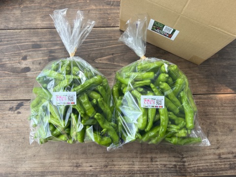 ☆有機JAS認証☆朝採れ新鮮！ししとう1.2㎏
