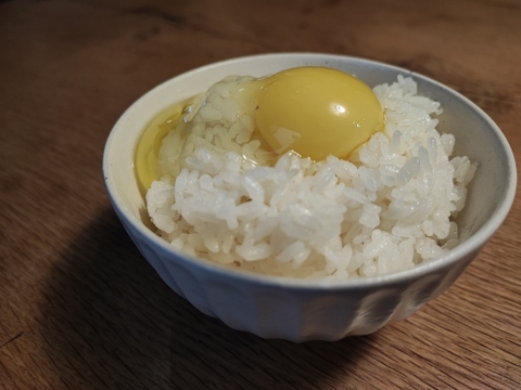 【ワクチン・抗生物質オールフリー】土遊野の平飼い卵20個　Sサイズ中心　レモンイエローの黄身！