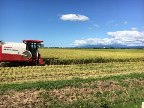 山形県産特別栽培米はえぬき（白米）１０ｋｇ（５ｋｇ×２袋）