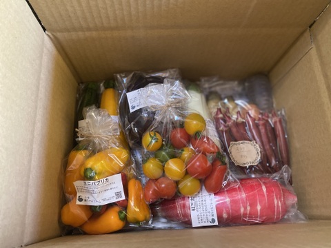 【栽培期間中：農薬不使用】季節の彩り野菜セット　Lサイズ