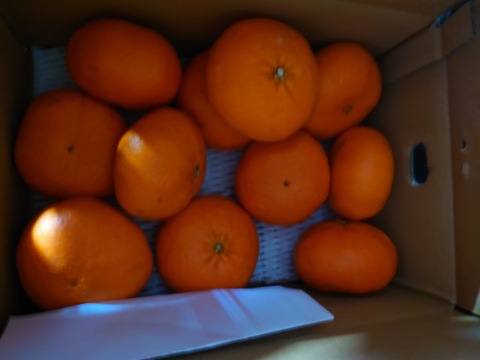 「甘平」4kｇ　家庭用！！
サクサク食感♪順次発送中〜！