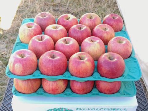 信州産葉とらずサンふじ家庭用10kg22〜36個入り 美味しさ重視のおすすめ品！