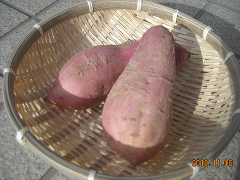 甘くてとろける安納芋2ｋｇと人参B級3キロと9種野菜セット
