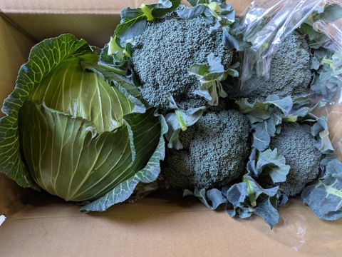 😊順ちゃんセット😊