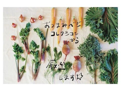 贅沢生野菜「おつまみベジ」厳選15種〜