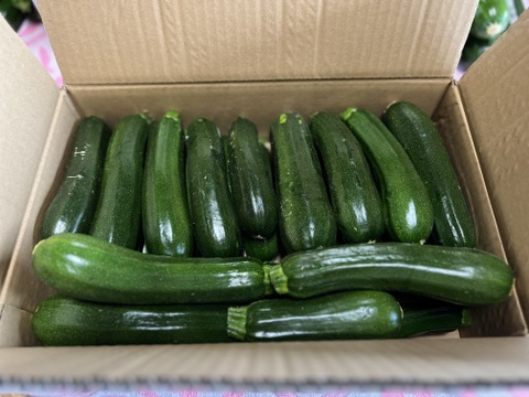 ズッキーニ　群馬県東吾妻町産　訳あり　4kg