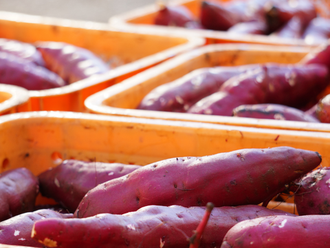 濃厚で上品な甘さ！ほしいも『べにはるか』平干し1kg(250g×4)