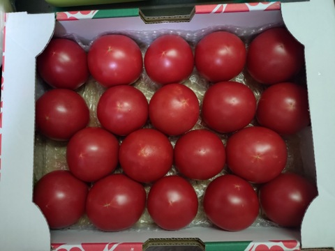 【イデコ様専用】野菜セット