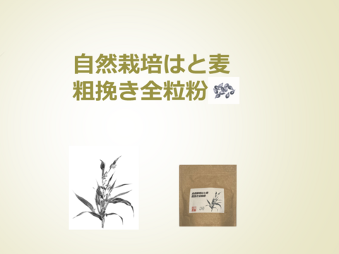 自然栽培はと麦粗挽き全粒粉