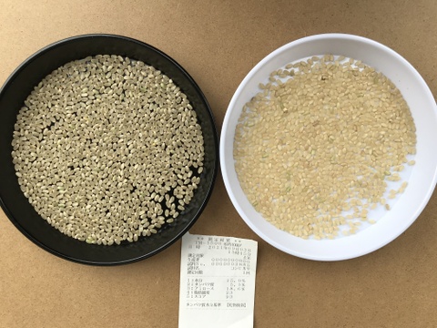 令和3年産コシヒカリ特別栽培米　玄米5㎏