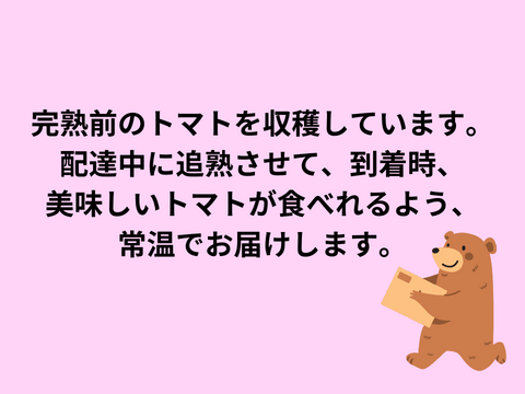 【食べ応え抜群‼️】肉厚で美味しさがギュッと詰まった！フルティカ（1キロ）