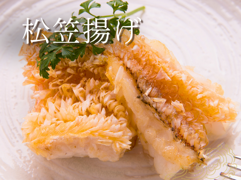 【家庭料理に】ふっくらやさしい甘みの甘鯛（３kg）