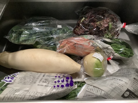 ♪色とりどり♪『農薬,化学肥料不使用』【4~5人前】季節の野菜Lセット（13～14品）「群馬県高崎産」