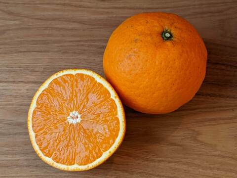 農家直送！きよみオレンジ　小玉の訳あり3kg  【平武農園】〜蛍飛ぶ町から旬の便り〜　和歌山｜有田｜田口｜ギフト