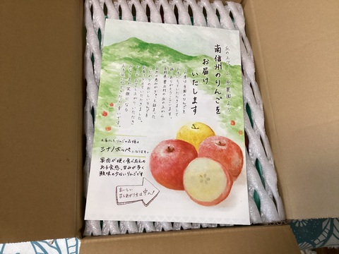 【シナノホッペ】家庭用　甘くて硬い！ほっぺが落ちる美味しさ♡