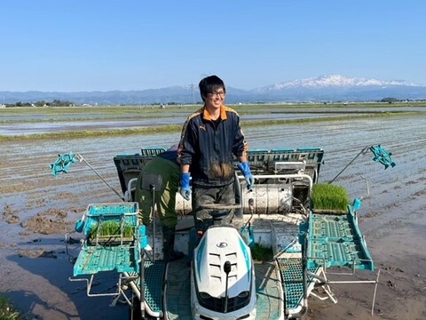 美味しい美味しいひとめぼれ！　玄米３０キロ　３袋小分け用