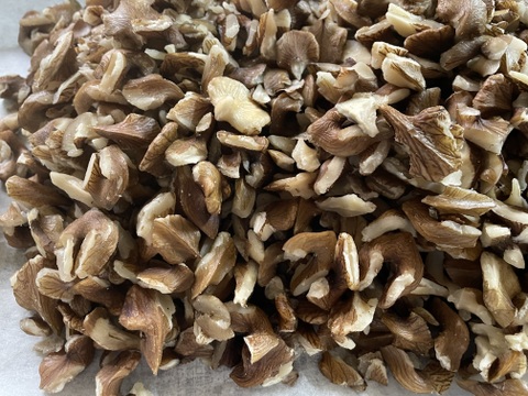 自宅でレンチン！出来立ての堅餅菓子を召し上がれ！くるみあられ用種餅（45枚入り２袋セット）