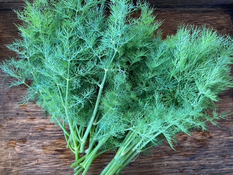 お料理の幅が広がる！ 季節の西洋野菜 Italian selection 60サイズ