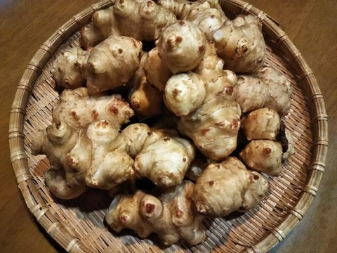 ファン急増中　新潟市産　自然栽培のキクイモ（3.5kg）毎日食べて腸活健康