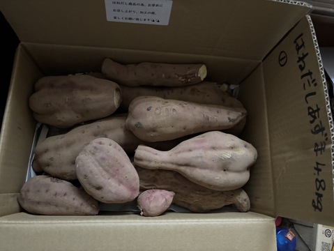 お買い🉐‼️「はねだし」でも充分美味しい❣️ホクホク【紅あずま 】4.8kg